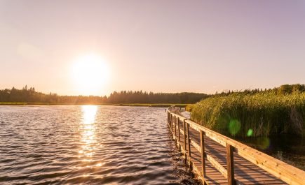 Sunset on the boardwalk at Ominik Marsh Trail in Manitoba Canada