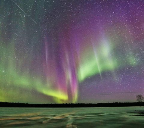 The northern lights (aurora borealis) in greens and pinks over a frozen lake.